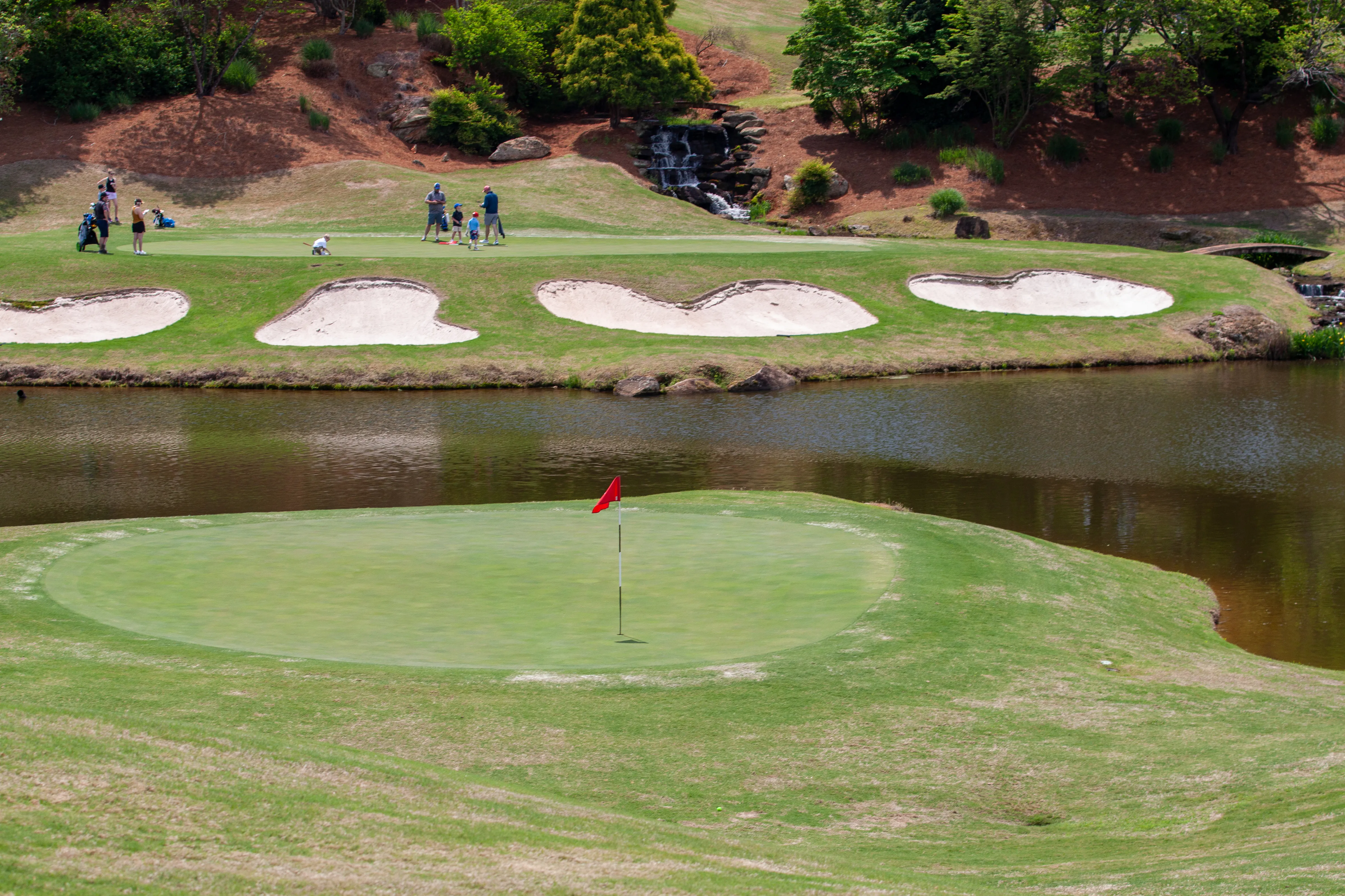 pretty green and flag